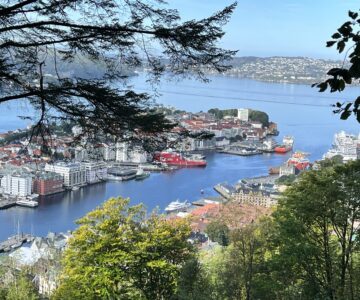 bergen view