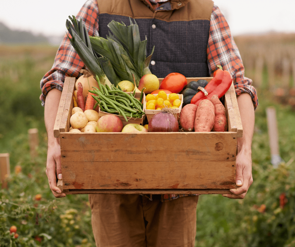 farm to table produce